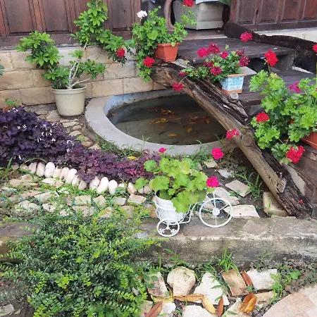 酒店 Santorini 圣弗拉斯